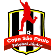 Brazilian Youth Cup